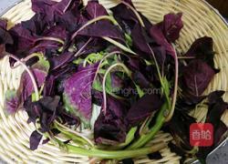 苋菜疙瘩汤的做法图解4