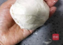 黑芝麻肉饼(不用揉面）的做法图解26