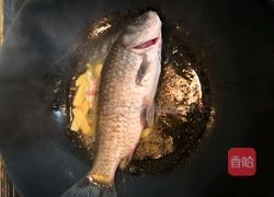 鲫鱼粉皮汤的做法图解5