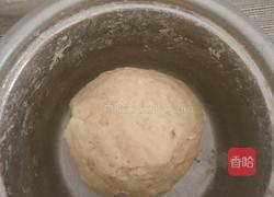 兔子馒头的做法图解7