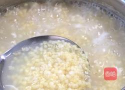 甜瓜小米粥的做法图解5