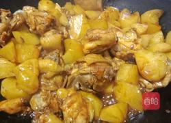 鸡肉炖土豆的做法图解6