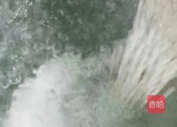 水果仙草西米露的做法图解9