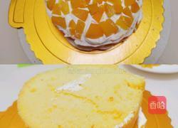 简单水果生日蛋糕芒果火龙果双拼的做法图解4