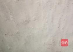 猪肉木耳香菇虾仁包的做法图解1