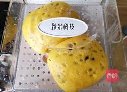 南瓜蜜豆馒头的做法图解8