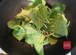蒜香红薯叶的做法图解6