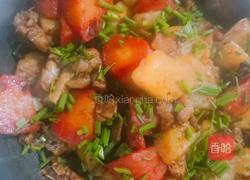 土豆烧鸡肉的做法图解7