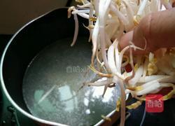 辣椒酱豆芽拌面的做法图解8