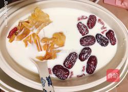 牛奶红枣炖鱼胶的做法图解6