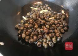 红烧螺蛳的做法图解6