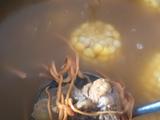 虫草花炖排骨玉米汤