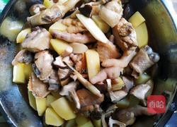 清蒸香菇土豆滑鸡的做法图解5