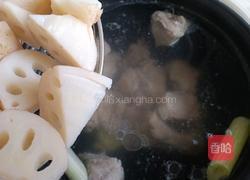 枸杞莲藕排骨汤的做法图解11