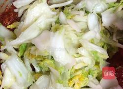 家庭版韩式辣白菜的做法图解1