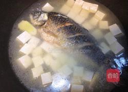 【秋季最强补钙汤品】奶白色鲫鱼豆腐汤的做法图解5