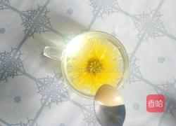 椴树蜜金丝皇菊茶的做法图解5