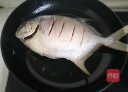 酱烧银鲳鱼的做法图解11