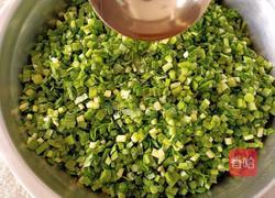 韭菜虾皮鸡蛋水饺的做法图解6