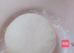 芝麻发面饼的做法图解3