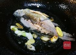 金汤鲫鱼的做法图解2