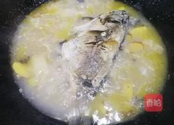 金汤鲫鱼的做法图解3