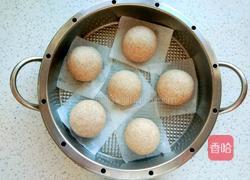 全麦馒头的做法图解7