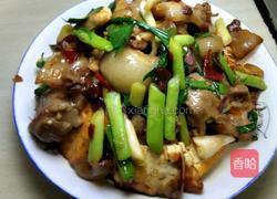 豆腐炒肉的做法图解13