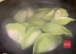 百财（白菜）水饺的做法图解15