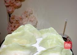 百财（白菜）水饺的做法图解19