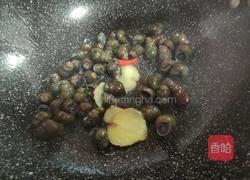 酱炒螺蛳的做法图解6
