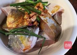 锅焗鲈鱼的做法图解4