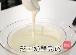 芝士奶盖的做法（松鼠茶茶奶茶教程）的做法图解10