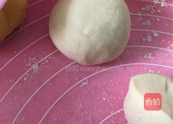 奶黄包的做法图解20