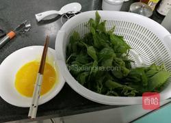 桑叶鸡蛋汤的做法图解1