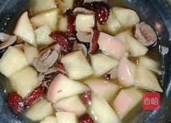 苹果红枣汤的做法图解4