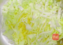 甘蓝炒辣椒的做法图解3