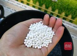 西米露水果捞的做法图解6