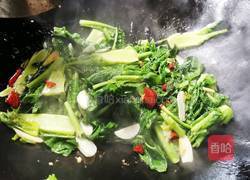 清炒莴笋尖的做法图解7