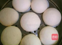 白白胖胖馒头（新手请进）的做法图解10