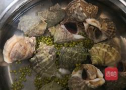 姜汁海螺的做法图解4