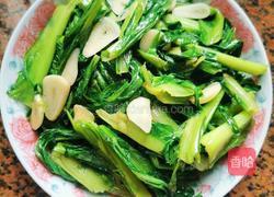 清炒苦麦菜的做法图解6