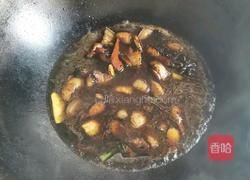 土豆焖红烧肉的做法图解5