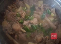 土豆炖鸡肉的做法图解5