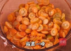 金桔膏的做法图解4