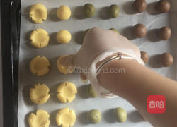 三色玛格丽特饼干的做法图解16