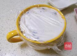 酸奶燕麦的做法图解9