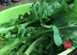 蒜香苦麻菜的做法图解1