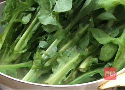 蒜香苦麻菜的做法图解5