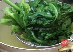 蒜香苦麻菜的做法图解6